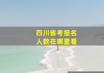 四川省考报名人数在哪里看