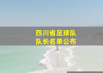 四川省足球队队长名单公布