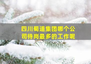 四川蜀道集团哪个公司待岗最多的工作呢