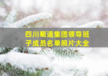 四川蜀道集团领导班子成员名单照片大全