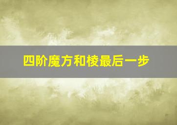 四阶魔方和棱最后一步