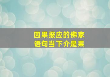 因果报应的佛家语句当下介是果