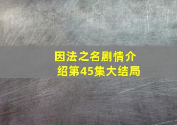 因法之名剧情介绍第45集大结局