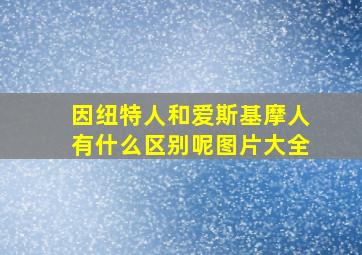 因纽特人和爱斯基摩人有什么区别呢图片大全