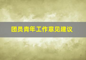 团员青年工作意见建议