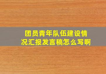 团员青年队伍建设情况汇报发言稿怎么写啊