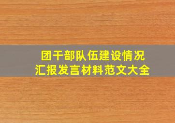 团干部队伍建设情况汇报发言材料范文大全