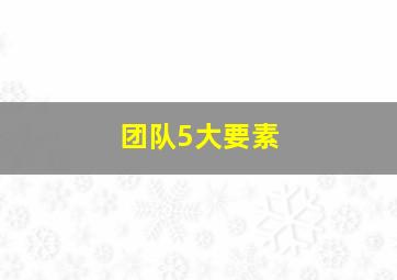 团队5大要素