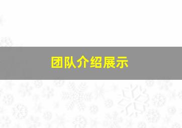 团队介绍展示