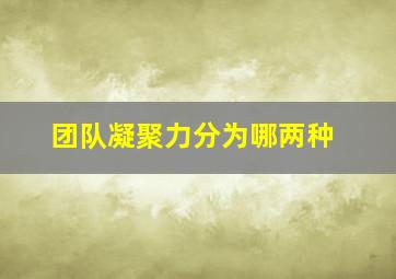 团队凝聚力分为哪两种