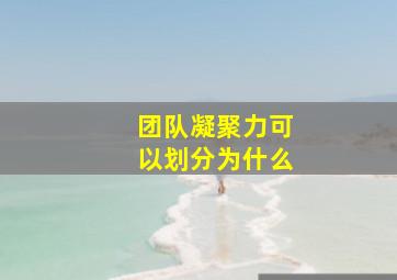 团队凝聚力可以划分为什么