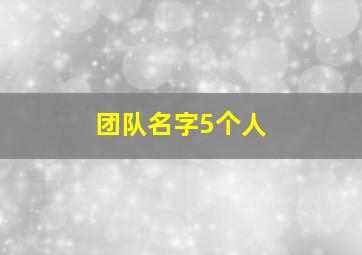 团队名字5个人