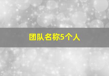 团队名称5个人