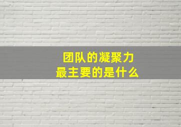 团队的凝聚力最主要的是什么