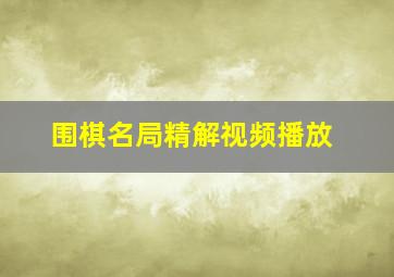 围棋名局精解视频播放