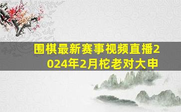 围棋最新赛事视频直播2024年2月柁老对大申