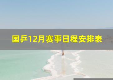 国乒12月赛事日程安排表