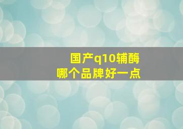 国产q10辅酶哪个品牌好一点