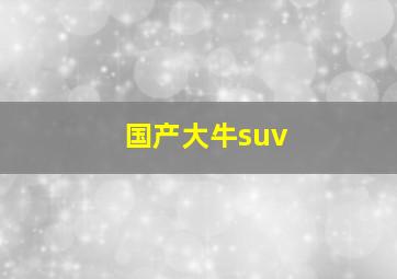 国产大牛suv