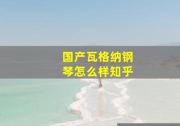 国产瓦格纳钢琴怎么样知乎