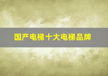 国产电梯十大电梯品牌