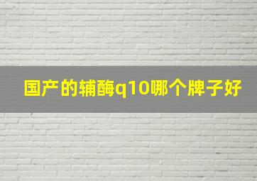 国产的辅酶q10哪个牌子好