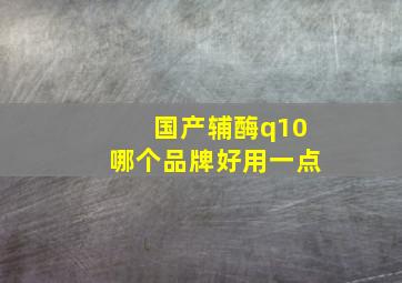 国产辅酶q10哪个品牌好用一点