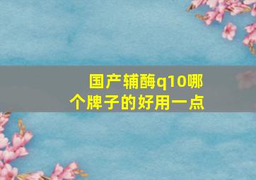 国产辅酶q10哪个牌子的好用一点