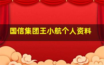 国信集团王小航个人资料