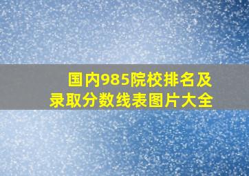 国内985院校排名及录取分数线表图片大全