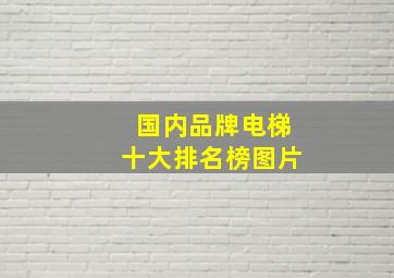 国内品牌电梯十大排名榜图片