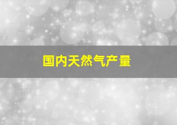 国内天然气产量