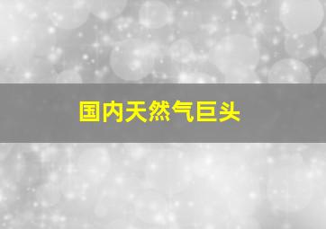 国内天然气巨头