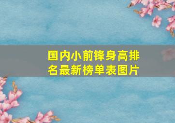 国内小前锋身高排名最新榜单表图片