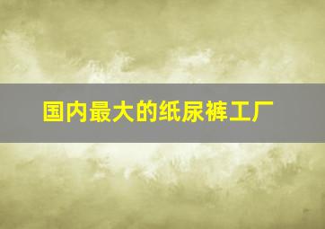 国内最大的纸尿裤工厂