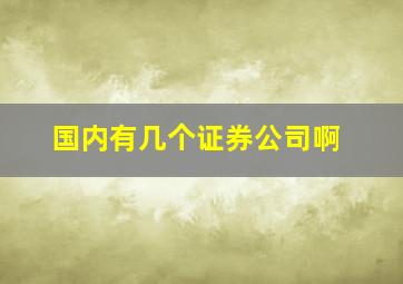 国内有几个证券公司啊