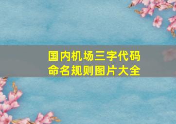 国内机场三字代码命名规则图片大全