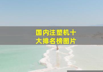 国内注塑机十大排名榜图片