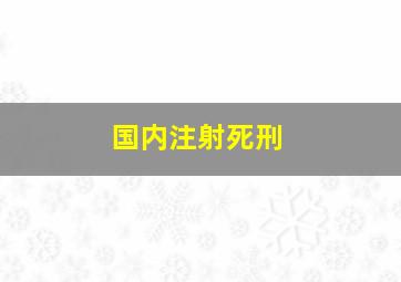 国内注射死刑