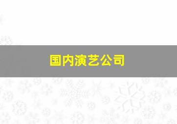 国内演艺公司