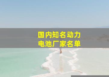 国内知名动力电池厂家名单