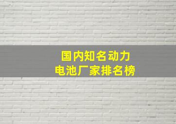 国内知名动力电池厂家排名榜