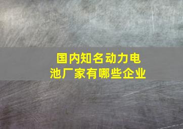 国内知名动力电池厂家有哪些企业