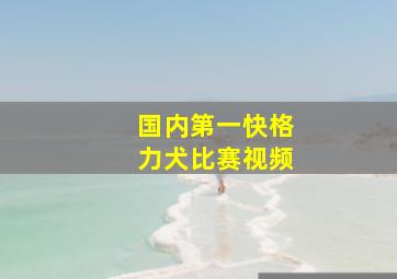 国内第一快格力犬比赛视频