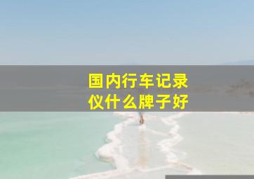 国内行车记录仪什么牌子好