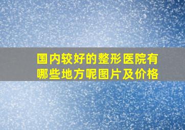 国内较好的整形医院有哪些地方呢图片及价格