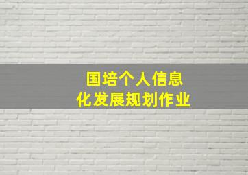 国培个人信息化发展规划作业