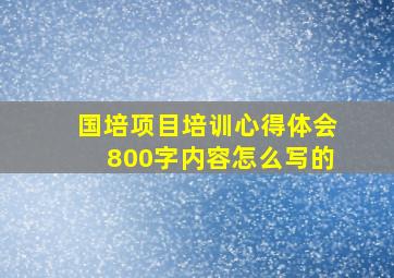 国培项目培训心得体会800字内容怎么写的