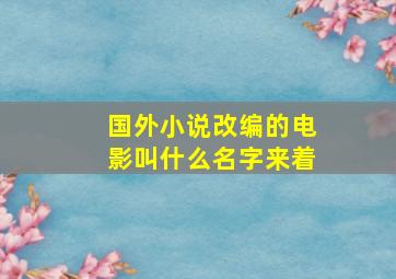 国外小说改编的电影叫什么名字来着