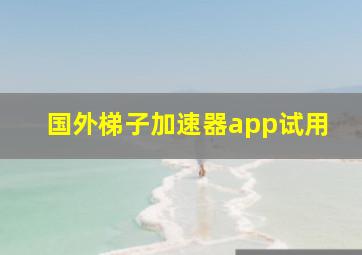 国外梯子加速器app试用